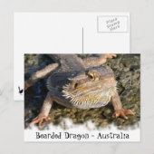 Carte Postale Série Dragon à boucle (Devant / Derrière)