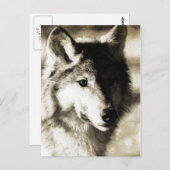 Carte Postale Série sauvage 19 (Devant / Derrière)