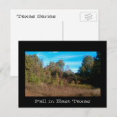 Carte Postale Série Texas (Devant / Derrière)