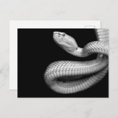 Carte Postale Serpent (Devant / Derrière)