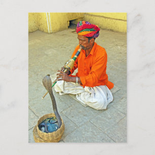 Carte Postale Serpent Charmer En Inde