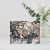 Carte Postale Serpent de Camouflage (Debout devant)