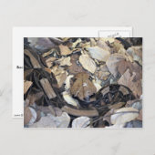 Carte Postale Serpent de Camouflage (Devant / Derrière)