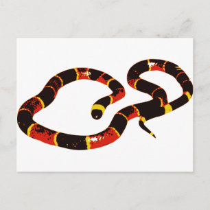 Carte Postale Serpent de Coralillo