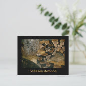 Carte Postale Serpent disant Ssalutations (Debout devant)