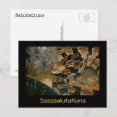 Carte Postale Serpent disant Ssalutations (Devant / Derrière)