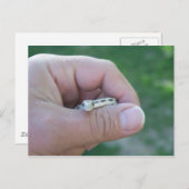 Carte Postale serpent du désert (Devant / Derrière)