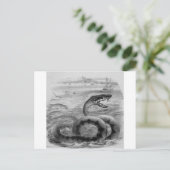 Carte Postale Serpent/Serpent de mer (Debout devant)