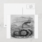 Carte Postale Serpent/Serpent de mer (Devant / Derrière)