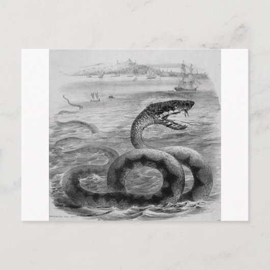 Carte Postale Serpent/Serpent de mer (Devant)