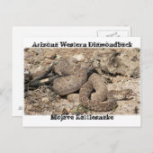 Carte Postale Serpents d'Arizona (Devant / Derrière)