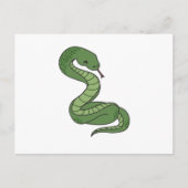 Carte Postale Serpents de reptile des serpents pour amis animaux (Devant)