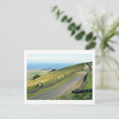 Carte Postale Serra do Cume : Terceira (Debout devant)