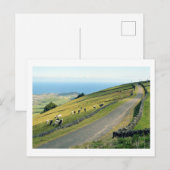 Carte Postale Serra do Cume : Terceira (Devant / Derrière)
