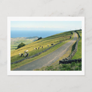 Carte Postale Serra do Cume : Terceira