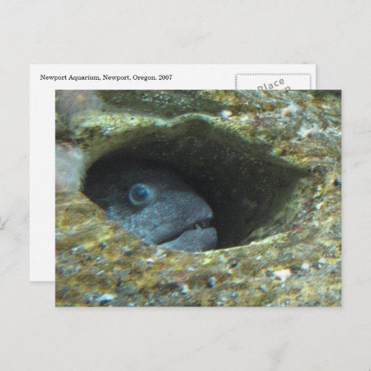 Carte Postale Serran piqué (Devant / Derrière)