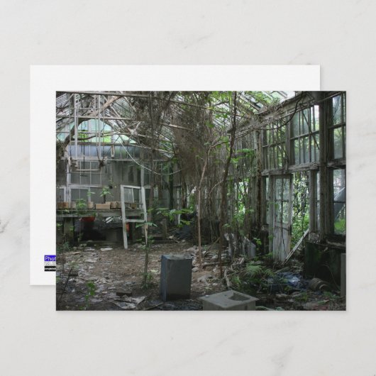 Carte Postale serre abandonnée (Devant / Derrière)