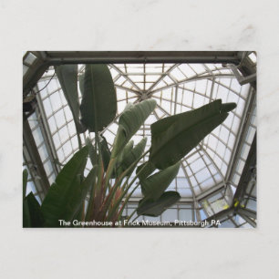 Carte Postale Serre au Frick Museum, Pittsburgh PA