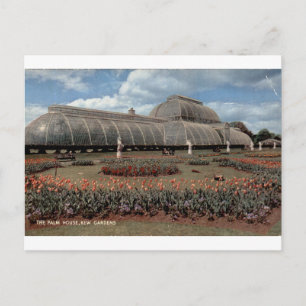 Carte Postale Serre des palmiers de Kew Gardens Vue florale vint