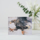 Carte Postale Serres - mer Eagle coupée la queue par blanc 2001 (Debout devant)