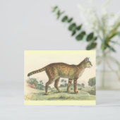 Carte Postale Serval (Debout devant)