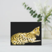 Carte postale Serval (Debout devant)