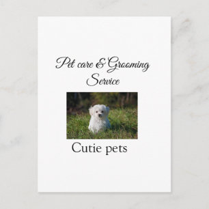 Carte Postale service de toilettage pour animaux de compagnie aj