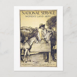 Carte Postale Service national vintage Recrutement des femmes de