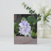 Carte Postale Ses créances (Debout devant)