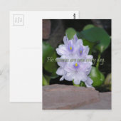 Carte Postale Ses créances (Devant / Derrière)