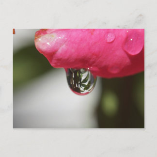 Carte Postale S'est levé avec une vue