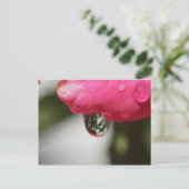 Carte Postale S'est levé avec une vue (Debout devant)