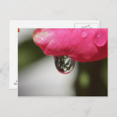 Carte Postale S'est levé avec une vue (Devant / Derrière)