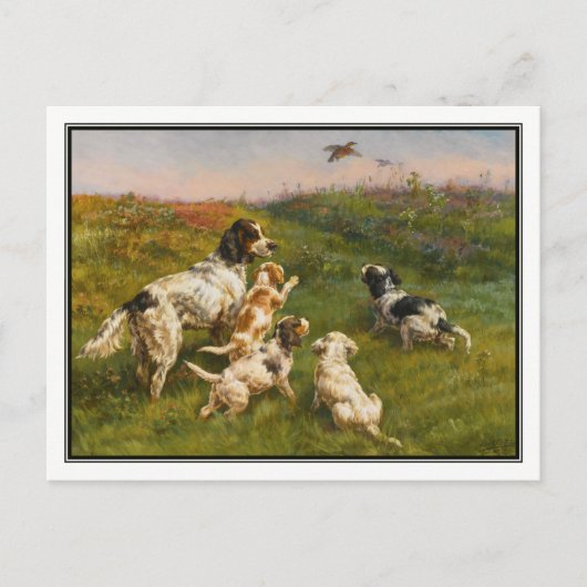 Carte Postale Setter and Pups par Edmund Henry Osthaus (Devant)