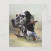 Carte Postale Setter anglais avec faisans, art      (Devant)