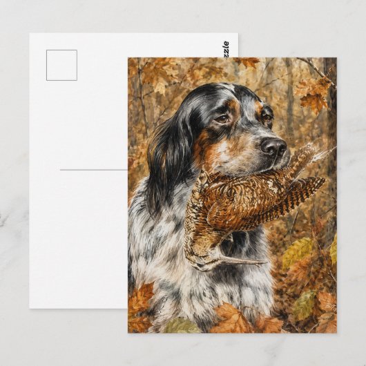 Carte Postale Setter anglais, chasse à la bécasse (Devant / Derrière)