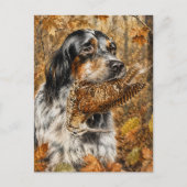 Carte Postale Setter anglais, chasse à la bécasse (Devant)