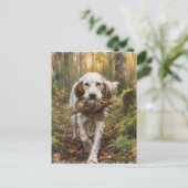 Carte Postale Setter anglais, chasse à la bécasse  (Debout devant)