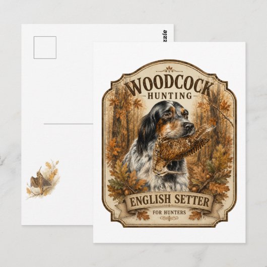 Carte Postale Setter anglais, chasse à la bécasse (Devant / Derrière)