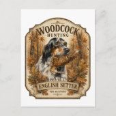 Carte Postale Setter anglais, chasse à la bécasse (Devant)