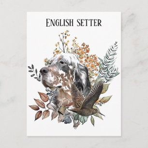 Carte Postale Setter anglais , Chasse à la bécasse , Art