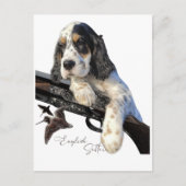 Carte Postale Setter anglais, mignon chiot (Devant)