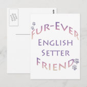 Carte Postale Setter Furever anglais (Devant / Derrière)
