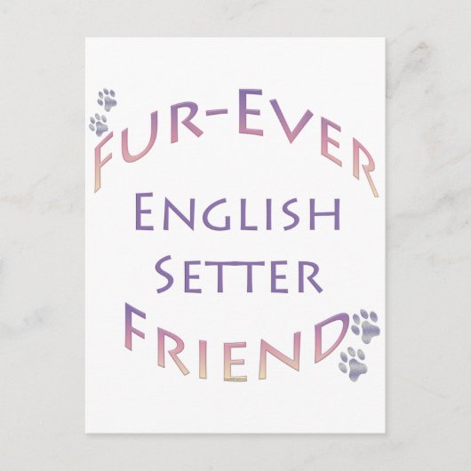 Carte Postale Setter Furever anglais (Devant)