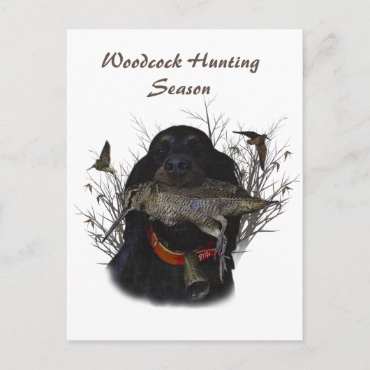 Carte Postale Setter Gordon (Devant)