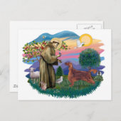 Carte Postale Setter irlandais (Devant / Derrière)