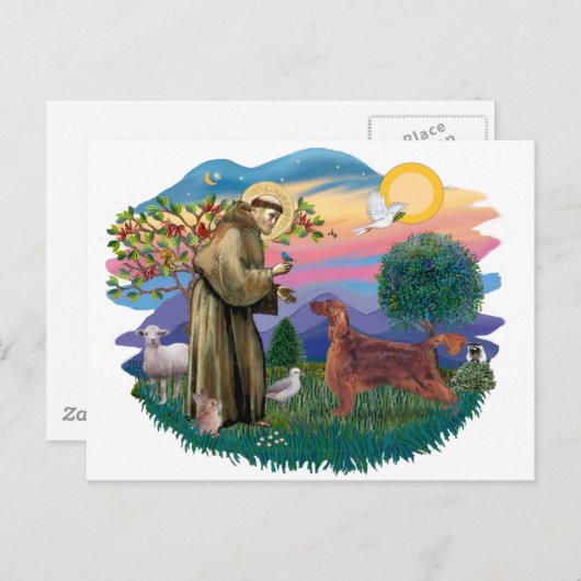 Carte Postale Setter irlandais (Devant / Derrière)