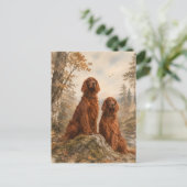 Carte Postale Setter irlandais   (Debout devant)