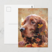 Carte Postale Setter irlandais (Devant / Derrière)