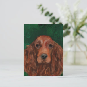 Carte Postale Setter Rouge Irlandais